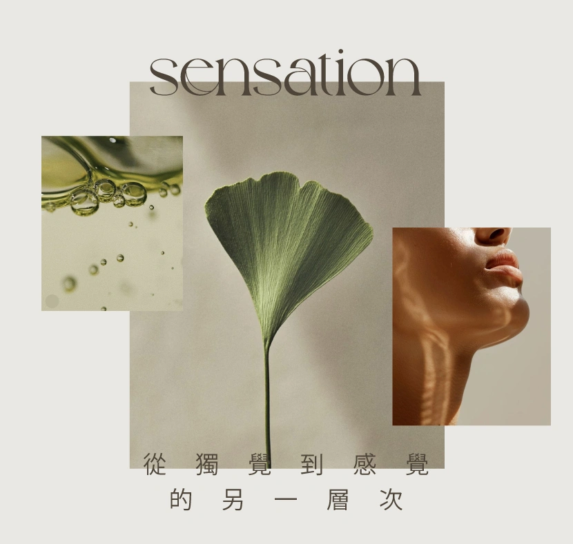 femio sensation