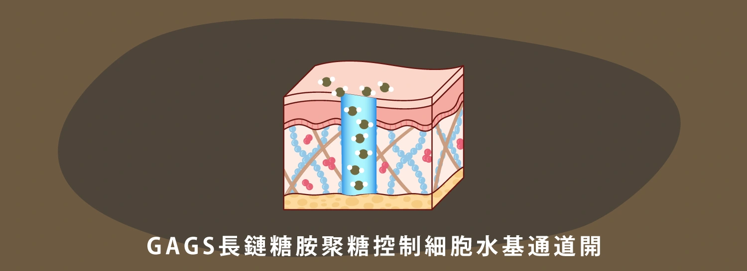 DEP 無針注射水光