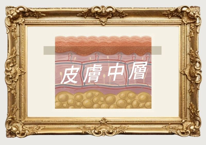 24h 肌底隱形傘 | Femio
