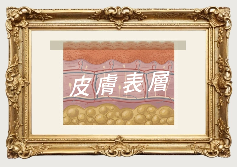 24h 肌底隱形傘 | Femio